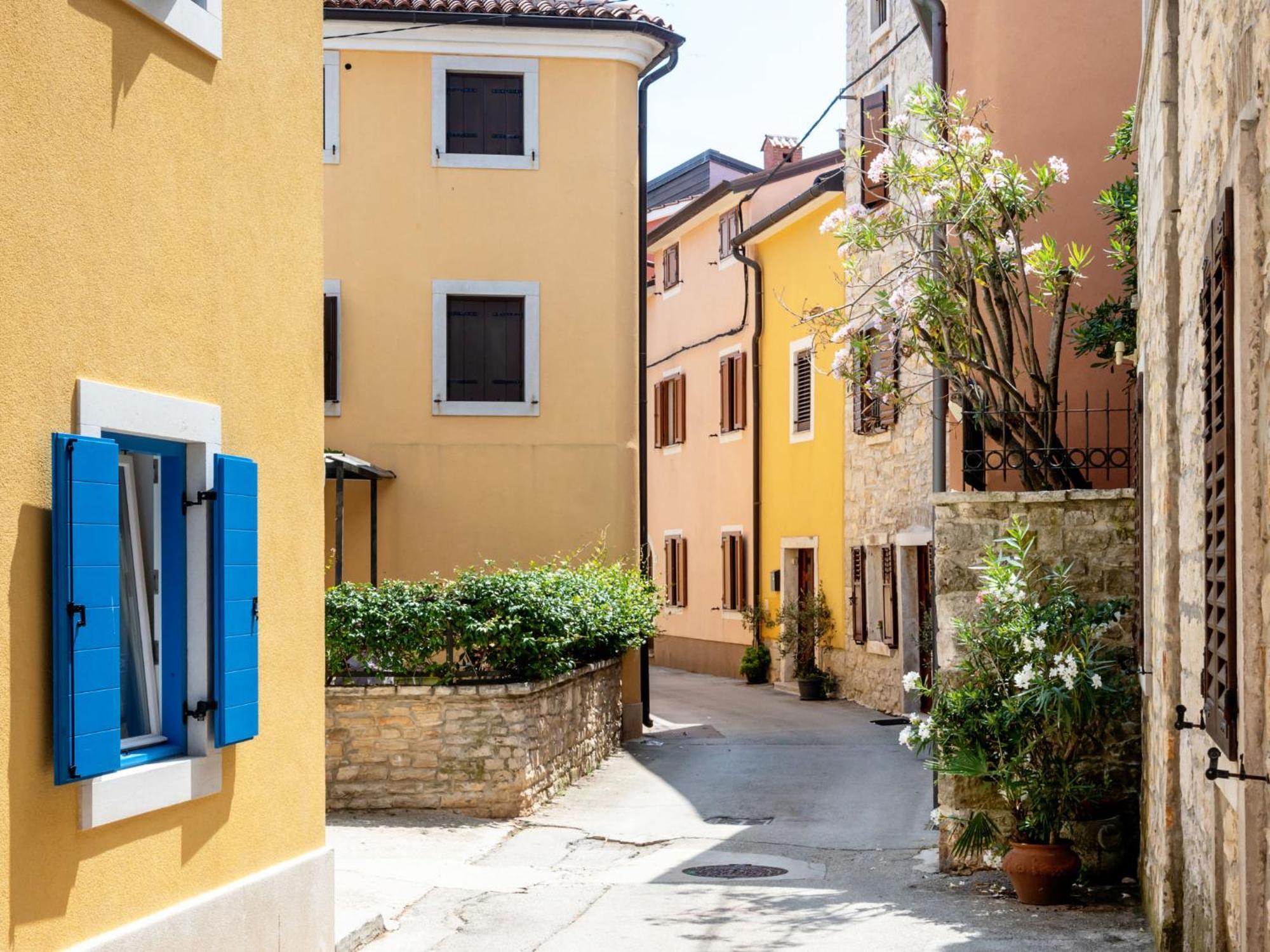 Holiday Home Villa Joy By Interhome Novigrad Istria المظهر الخارجي الصورة